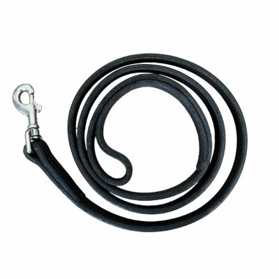 Leather Leash