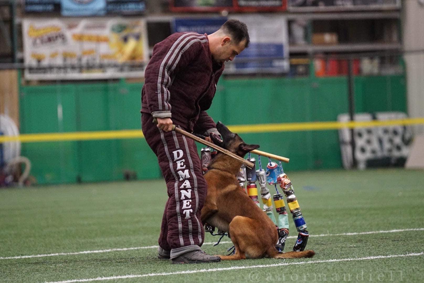 The Cross Over Dog