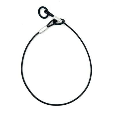 Dominant Dog Collar