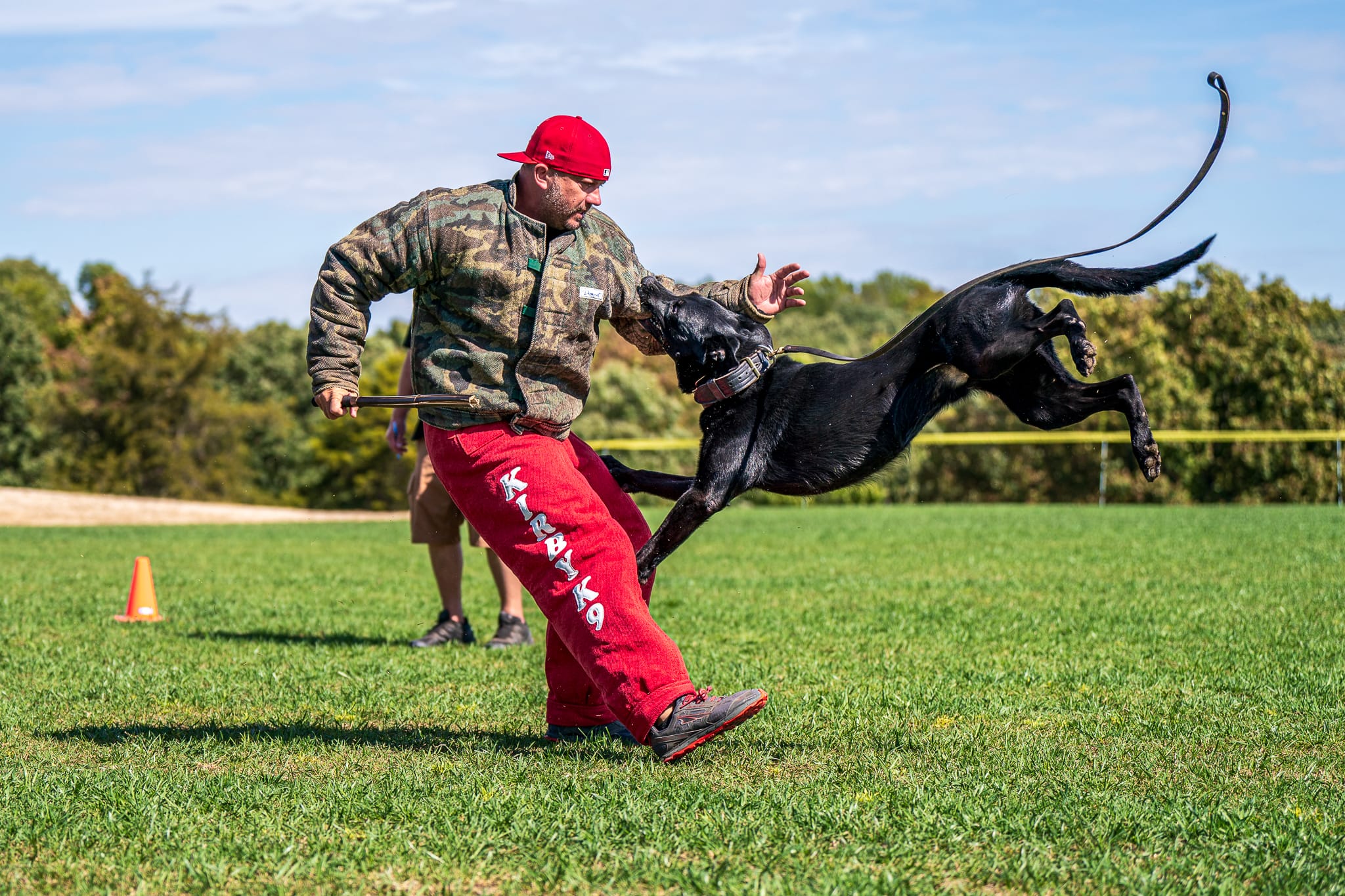 The PSA K9 Catch
