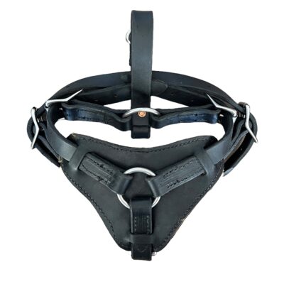 Leather Harness