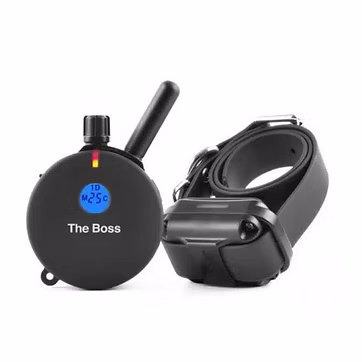 The Boss ET-800