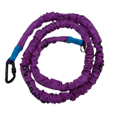 Bungee Leash